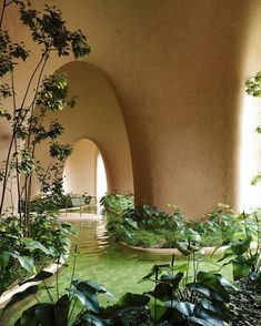 an indoor garden with water and plants in the center, surrounded by large arches that lead into another room