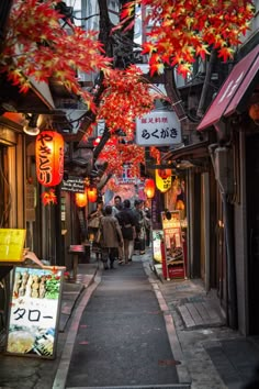 an alley way with people walking down it and lanterns hanging from the ceiling above them