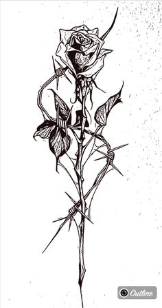 a black and white drawing of a rose