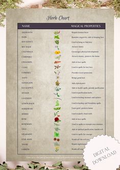 An illustrated list of herbs with their magical properties, commonly used by witches for potions, spells, and rituals.  Bundle includes: 2 herb lists with properties (Printable pages of different designs to suit your needs)  3 pages with herb list and designated space for adding your own personal notes and descriptions (Printable pages, all different designs)  You will receive the following: 3 High-Resolution A4 size PDF files (containing all 5 pages) THIS LISTING IS A HIGH-RESOLUTION DIGITAL FILE FOR INSTANT DOWNLOAD ONLY No physical product will be shipped. KINDLY NOTE: This purchase is for PERSONAL USE ONLY.  You can print the images as many times as you need for personal use. Witches Herbs And Uses, Witchy Herbs And Spices, Herbs For Spells And Potions, Witch Herbs List, Witchcraft Herbs Meanings List, Blockbuster Spell Herbs, Herbs For Karma Spells, Magical Herbs And Their Uses, Witchcraft Herbs Meanings