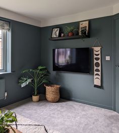 a living room with green walls and a flat screen tv mounted on the wall above a potted plant