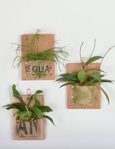 three planters are hanging on the wall and each has plants in their own pots