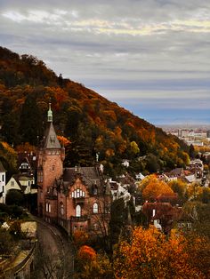 a scenic view of a city with autumn foliage