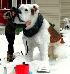 a woman kissing a dog in the snow with another person standing next to her and holding it up