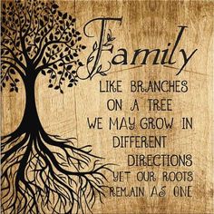 family like branches on a tree we may grow in different directions let our roots remain as one