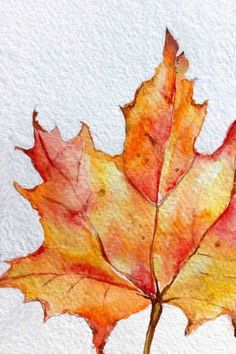 a watercolor painting of a single leaf on white paper with orange and yellow colors