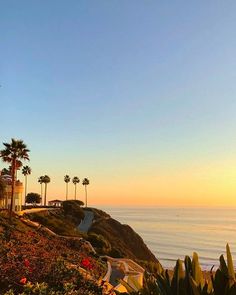 the sun is setting over the ocean with palm trees and houses on the hill side