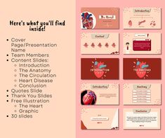 there's what you'll find inside powerpoint presentation