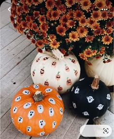 three pumpkins with faces painted on them sitting next to flowers