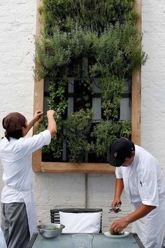 Vertical Herb Gardens, Building A Pergola, Melbourne House, Living Modern, Green Walls, Wall Fountain, Wall Garden