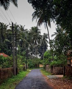 an empty road surrounded by palm trees