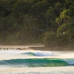 two surfers are riding the waves in front of some trees and people on surfboards