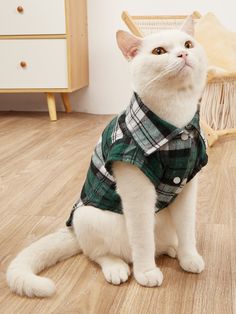 a white cat wearing a green plaid shirt