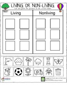 living or non - living worksheet with pictures and words to help students learn how to