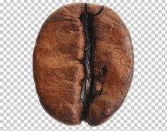 a close up of a coffee bean on a white background png, clipart