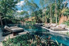 an outdoor swimming pool with lounge chairs and trees