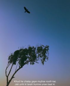 a bird flying in the sky above a tree