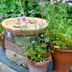 several potted plants sitting on top of each other in front of a wooden bench