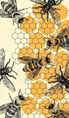 bees and honeycombs are depicted in this graphic art work, which depicts the process of making honey combs