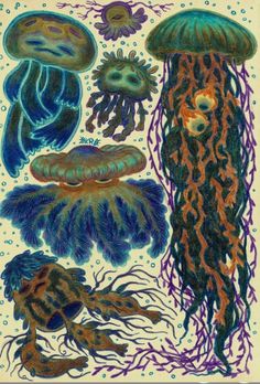 an image of jellyfishs and other sea creatures