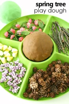 a green tray filled with different types of pine cones and other items to make a spring tree play dough