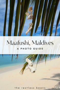 the cover of maafushhi, maldives a photo guide by the restles bean