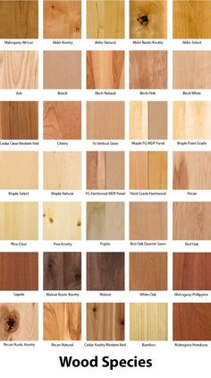 wood species in different colors and sizes are shown with the names on each one side