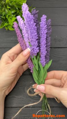 two hands are holding purple flowers with green leaves on the stems, and one hand is pulling them apart