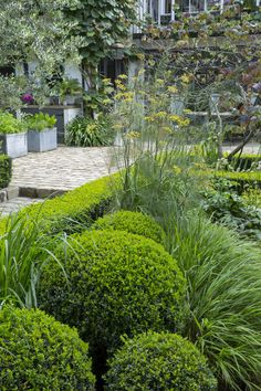 a garden with lots of green bushes and plants in the foreground, next to a building