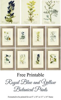 the royal blue and yellow botanical prints