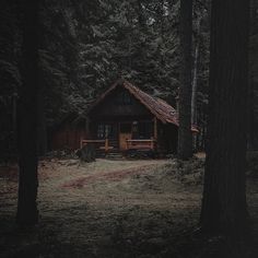 a cabin in the woods with trees surrounding it and a bench on the grass area