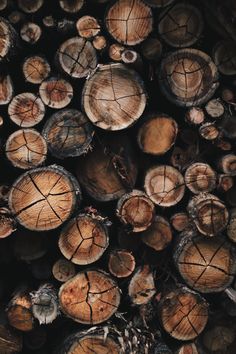 the wood is cut up and ready to be used as decorations or wall hangings