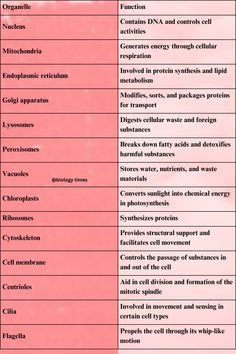 the table shows different types of cell phones and their functions in cellular systems, including