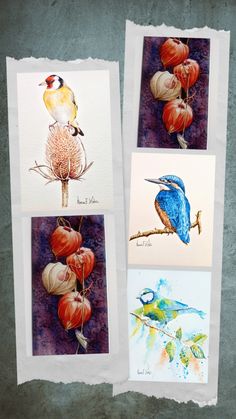 four cards with birds and flowers on them