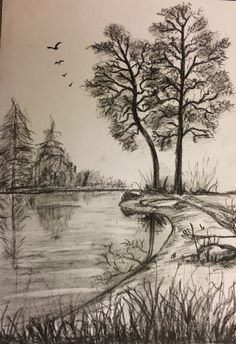 a pencil drawing of trees by the water