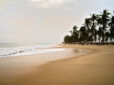 the beach is lined with palm trees and waves