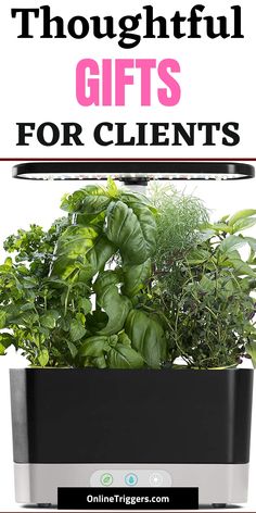 an indoor herb garden with text overlay that reads, thoughtful gifts for client's