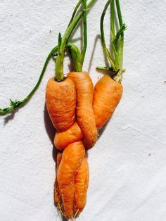 three carrots are arranged in the shape of an x on a white surface with green stems