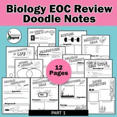 the book cover for biology eoc review doodle notes is shown in pink and blue