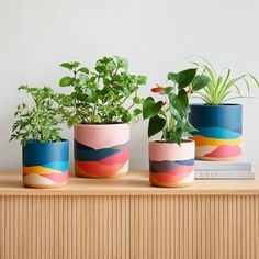 three potted plants sitting on top of a wooden shelf