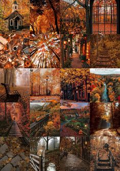 a collage of different pictures with trees and buildings in the fall, including a ferris wheel