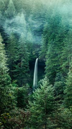 a waterfall in the middle of a forest filled with lots of green trees and fog