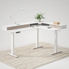 an office desk with a plant on top