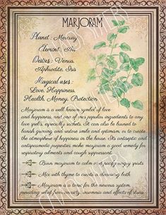 Herbs Book, Wicca Herbs, Book Of Shadows Pages, Grimoire Pages, Herbs Plants