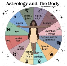 astrology and the body chart with zodiac signs