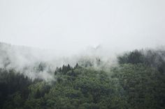 the mountains are covered in fog and low lying clouds, with trees on either side