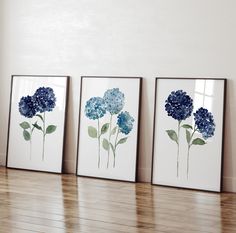 three blue flowers are displayed on the wall next to each other in four different frames