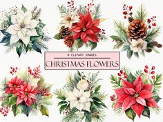 christmas flowers and pine cones clipart