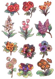 a bunch of flowers that are on top of a white surface with watercolor paint