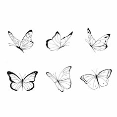 six butterflies drawn in black and white on a white background